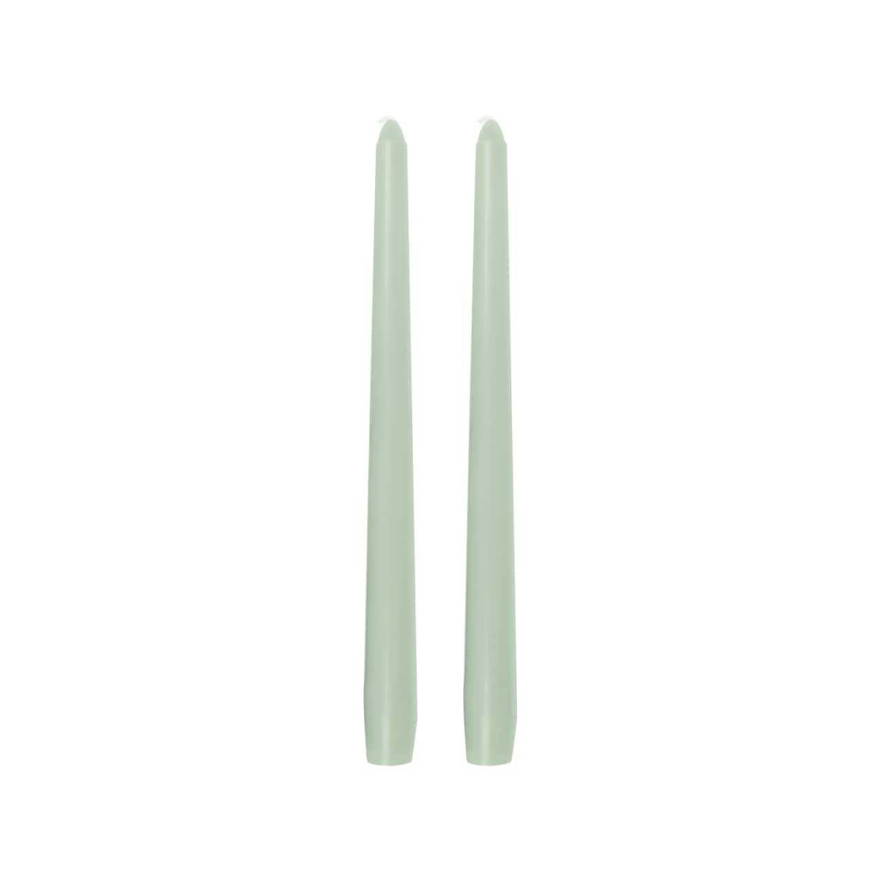 10" Unscented Taper Candles, 2ct. by Ashland®